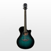 Semi-Acoustic Guitar