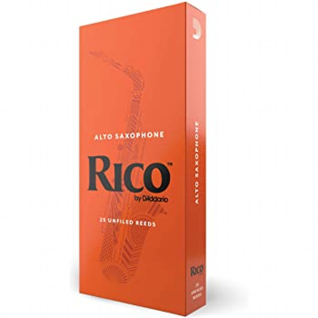 RICO HTS1 テナーサックス リガチャー D'Addario ダダリオ - 管楽器 
